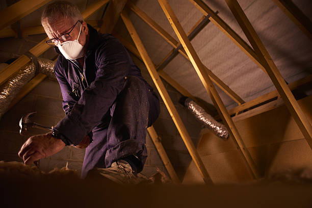 Best Specialty Insulation in Spirit Lake, IA